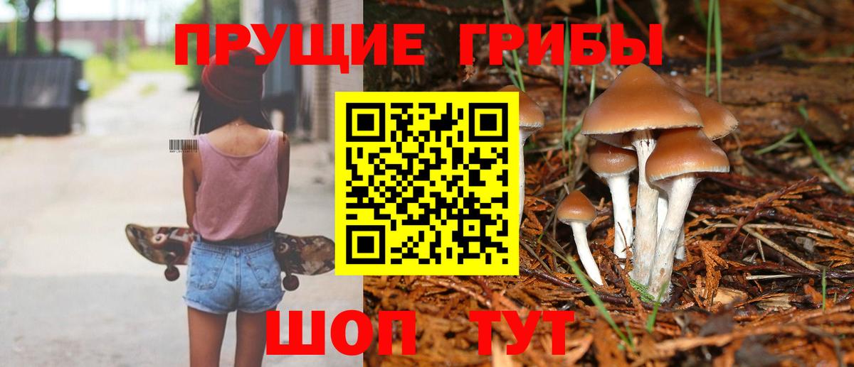 Галлюциногенные грибы Magic Shrooms  Галлюциногенные грибы мухоморы  Лениногорск  Вход с VPN 